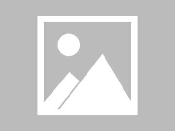 大跨度無(wú)梁拱形彩鋼波紋屋面施工技術(shù)_楊良